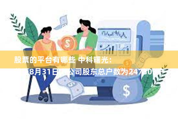 股票的平台有哪些 中科曙光：
截至8月31日，公司股东总户数为247303户