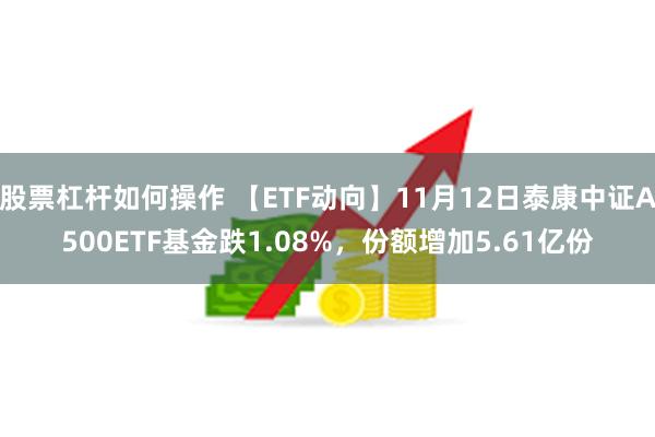 股票杠杆如何操作 【ETF动向】11月12日泰康中证A500ETF基金跌1.08%，份额增加5.61亿份