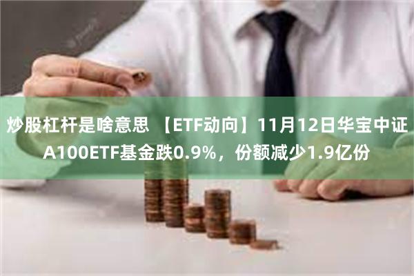 炒股杠杆是啥意思 【ETF动向】11月12日华宝中证A100ETF基金跌0.9%，份额减少1.9亿份