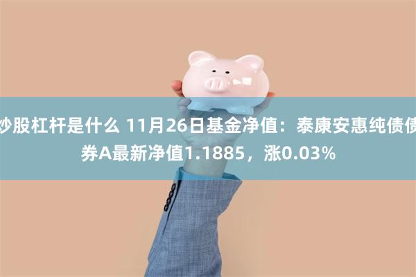 炒股杠杆是什么 11月26日基金净值：泰康安惠纯债债券A最新净值1.1885，涨0.03%