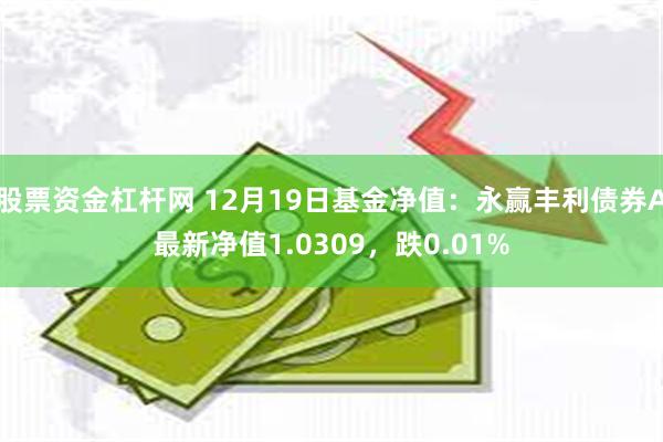 股票资金杠杆网 12月19日基金净值：永赢丰利债券A最新净值1.0309，跌0.01%