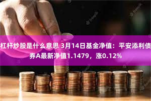 杠杆炒股是什么意思 3月14日基金净值：平安添利债券A最新净值1.1479，涨0.12%